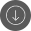 Down Arrow Icon